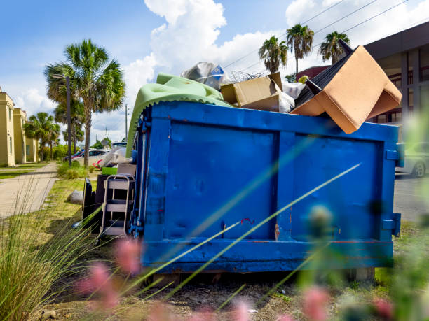 Best Carpet Removal and Disposal  in De Queen, AR